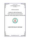 Luận văn Thạc sĩ Hóa học: Nghiên cứu điều chế nano Ag trong Chitosan oligosaccharide (COS) ứng dụng trong kháng khuẩn và kháng nấm