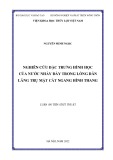 Luận án Tiến sĩ Kỹ thuật: Nghiên cứu đặc trưng hình học của nước nhảy đáy trong lòng dẫn lăng trụ mặt cắt ngang hình thang