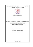 Luận án Tiến sĩ Y học: Nghiên cứu phẫu thuật cắt dịch kính điều trị bong võng mạc do lỗ hoàng điểm