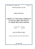 Luận án Tiến sĩ Y học: Nghiên cứu tình trạng nhiễm sắt và kết quả điều trị thải sắt của bệnh nhân Thalassemia