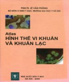 Nghiên cứu khuẩn lạc và hình thể vi khuẩn