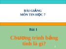 Bài giảng môn Tin học 7 bài 1: Chương trình bảng tính - GV Ngô Văn Hải