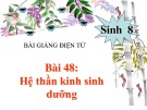 Bài giảng Sinh học lớp 8 bài 48: Hệ thần kinh sinh dưỡng