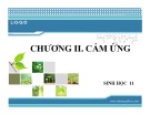 Bài giảng Sinh học lớp 11 bài 23: Hướng động