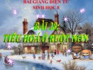 Bài giảng Sinh học lớp 8 bài 28: Tiêu hóa ở ruột non