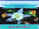 Bài giảng Sinh học lớp 9 bài 35: Ưu thế lai