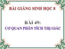 Bài giảng Sinh học lớp 8 bài 49: Cơ quan phân tích thị giác