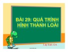 Bài giảng Sinh học lớp 12 bài 29: Quá trình hình thành loài