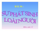 Bài giảng Sinh học lớp 12 bài 34: Sự phát sinh loài người