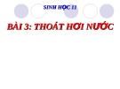 Bài giảng Sinh học lớp 11 bài 3:Thoát hơi nước