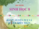 Bài giảng Sinh học lớp 8 bài 57: Tuyến tụy và tuyến trên thận