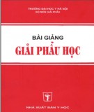 Giải phẫu học: Bài giảng - Phần 2