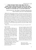 Thực trang thừa cân, béo phì và kiến thức liên quan đến thừa cân, béo phì ở người trưởng thành tại quận Hai Bà Trưng và huyện Ba Vì, Hà Nội năm 2019