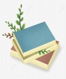 Luận văn Thạc sĩ Kinh tế: Đánh giá sự hài lòng của khách hàng với dịch vụ bảo hiểm xe cơ giới của Bảo hiểm Bảo Việt