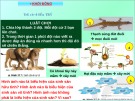 Bài giảng Sinh học 7 bài 33 sách Cánh diều: Sinh sản hữu tính ở sinh vật