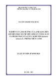 Luận án Tiến sĩ Sinh học: Nghiên cứu ảnh hưởng của ánh sáng đèn LED đến một số chỉ tiêu sinh lý, năng suất và phẩm chất của cây cải bó xôi (Spinacia oleracea L.) trồng thủy canh