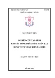 Luận án Tiến sĩ Y học: Nghiên cứu tạo hình khuyết hổng phần mềm ngón tay bằng vạt cuống liền tại chỗ