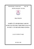 Luận án Tiến sĩ Y học: Nghiên cứu mô bệnh học sarcom xương nguyên phát theo phân loại của Tổ chức Y tế thế giới (WHO) năm 2013