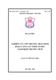 Luận án Tiến sĩ Y học: Nghiên cứu tổn thương thần kinh đoạn cẳng tay ở đối tượng giám định thương tích