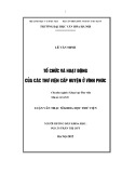 Luận văn Thạc sĩ Khoa học Thư viện: Tổ chức và hoạt động của các thư viện cấp huyện ở Vĩnh Phúc