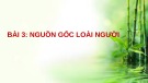 Bài giảng Lịch sử 6 bài 3: Nguồn gốc loài người