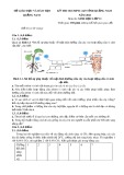 Đề thi Olympic môn Sinh học lớp 11 năm 2021 có đáp án - Sở GD&ĐT Quảng Nam