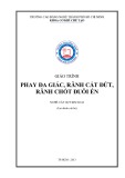 Giáo trình Phay đa giác, rãnh cắt đứt, rãnh chốt đuôi én - Trường CĐ Nghề TP Hồ Chí Minh