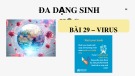 Bài giảng môn Khoa học tự nhiên lớp 6 bài 29: Virus