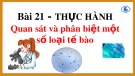 Bài giảng môn Khoa học tự nhiên lớp 6 bài 21: Thực hành quan sát và phân biệt một số loại tế bào