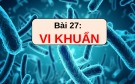 Bài giảng môn Khoa học tự nhiên lớp 6 bài 27: Vi khuẩn