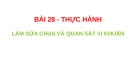 Bài giảng môn Khoa học tự nhiên lớp 6 bài 28: Thực hành làm sữa chua và quan sát vi khuẩn