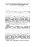 Mối quan hệ giữa định hướng khách hàng và hiệu quả công việc của nhân viên kinh doanh bất động sản: Vai trò trung gian của quản trị tri thức