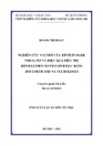 Tóm tắt luận án Tiến sĩ Y học: Nghiên cứu vai trò của Epstein barr virus, p53 và hiệu quả điều trị bệnh lichen xơ teo sinh dục bằng bôi corticoid và tacrolimus