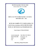 Khoá luận tốt nghiệp: Bước đầu nghiên cứu vi nhân giống cây Cao su (Hevea brasiliensis) bằng phương pháp nuôi cấy mô tế bào tại tỉnh Bình Dương