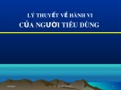 Bài giảng Lý thuyết về hành vi của người tiêu dùng - Ths. Nguyễn Sỹ Minh