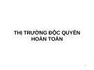 Bài giảng môn Thị trường độc quyền hoàn toàn