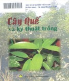 Nghiên cứu kỹ thuật trồng cây quế: Phần 1