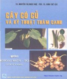 Kỹ thuật thâm canh khoai môn - sọ (Quyển 3): Phần 2