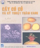 Kỹ thuật thâm canh cây khoai tây: Phần 1