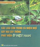 Phòng ngừa các loại nhện nhỏ và côn trùng gây hại cây trồng: Phần 1