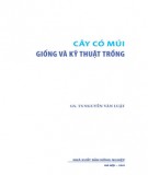 Hướng dẫn kỹ thuật trồng cây có múi