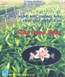 Công nghệ trồng cây hoa Lily: Phần 1