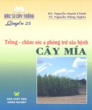 Hướng dẫn cách trồng và chăm sóc cây mía: Phần 1