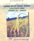 Kỹ thuật trồng lúa nhóm Ao - OMCS