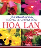 Hướng dẫn cách trồng và chăm sóc hoa lan: Phần 2