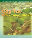 Nghiên cứu kỹ thuật trồng cây táo