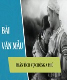 Phân tích tác phẩm Vợ chồng A Phủ - Tô Hoài