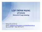 Bài giảng Lập trình mạng: Chương 1 - Lê Bá Vui