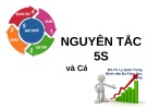 Bài giảng Nguyên tắc 5s và các loại lãng phí - Lý Quốc Trung