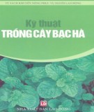 Kỹ thuật trồng và chăm sóc cây bạc hà: Phần 1